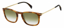 DB 1034/S Brown Horn Gold