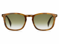 DB 1034/S Brown Horn Gold